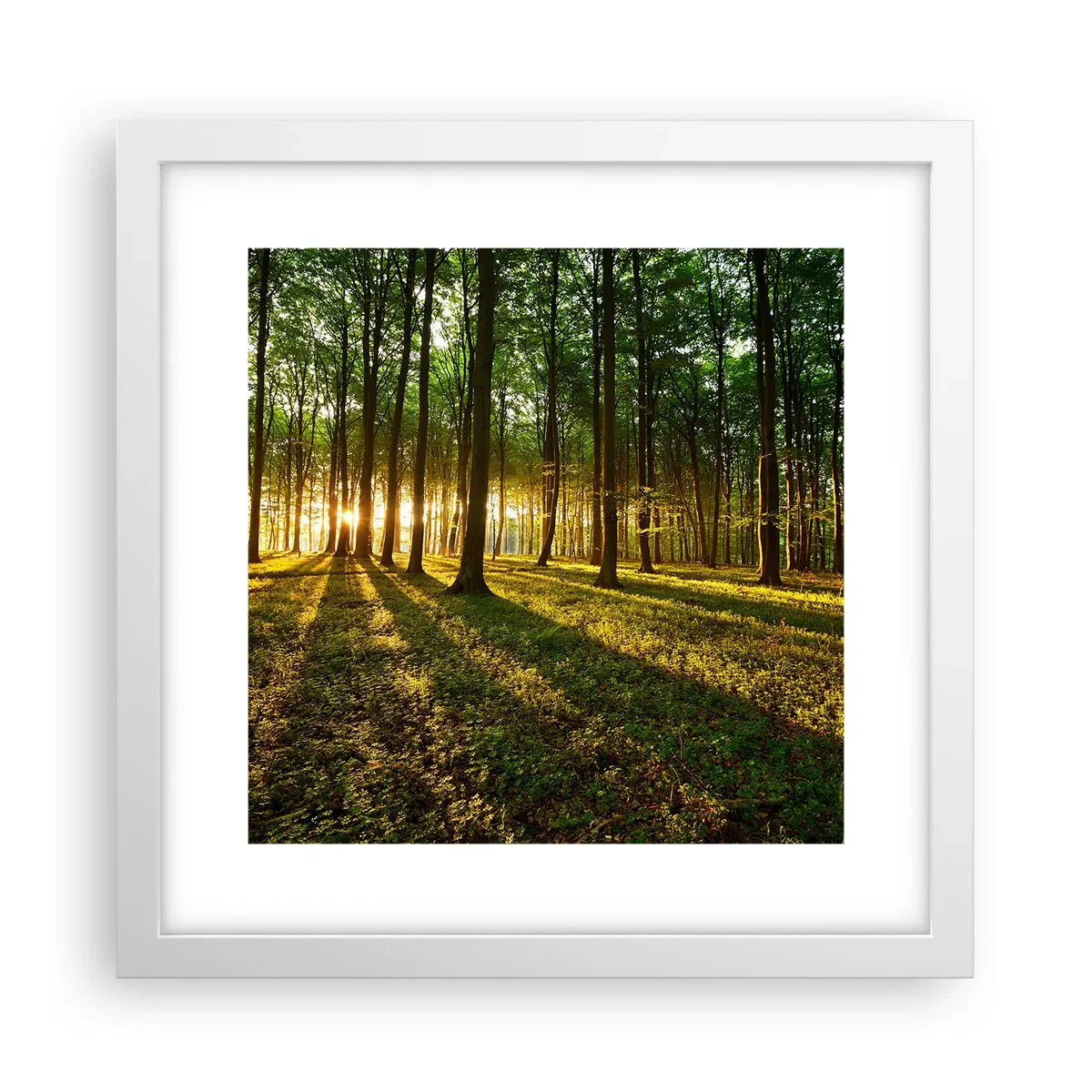Poster in een witte lijst - Foto van de hele lente - 30x30 cm