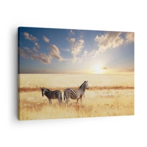 Schilderen op canvas - Twee zebra's op de savanne in de stralen van de ondergaande zon - 70x50cm - Ga weg, verstoor onze vrede niet - Moderne wanddecoratie voor woonkamer en slaapkamer ARTTOR