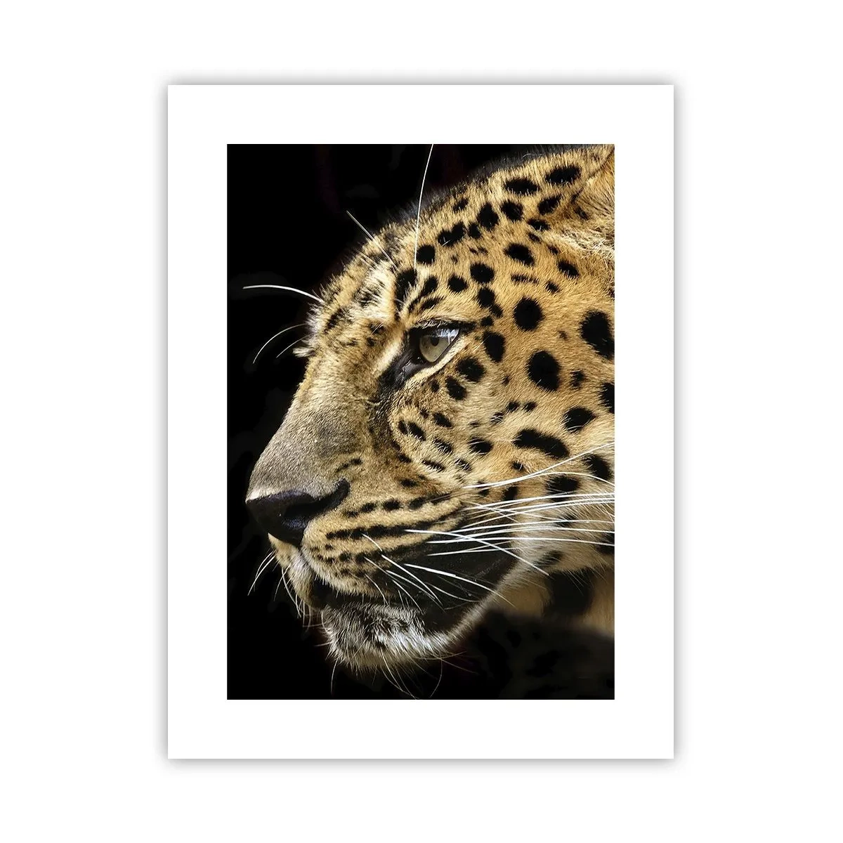 Poster - Rustig, gefocust, klaar - 30x40 cm