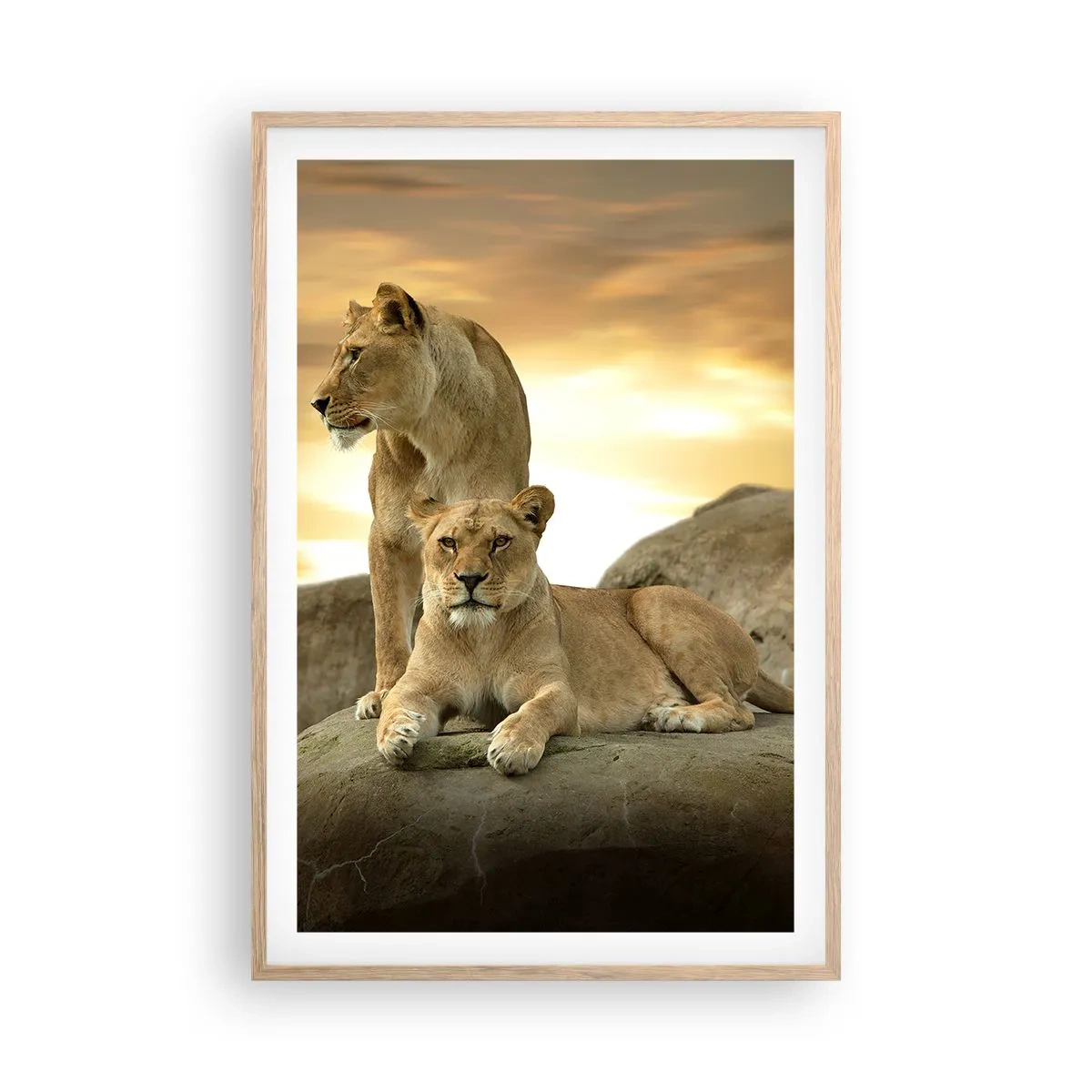 Een poster in een licht eiken lijst - Koninklijke majesteit - 61x91 cm