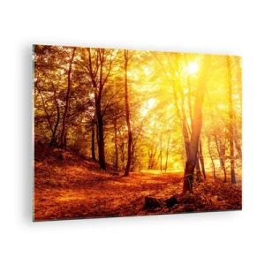 Schilderen op glas - Herfstbos verlicht door de warme gloed van de zon - 70x50cm - Op weg naar de gouden open plek - Moderne wanddecoratie voor woonkamer en slaapkamer ARTTOR