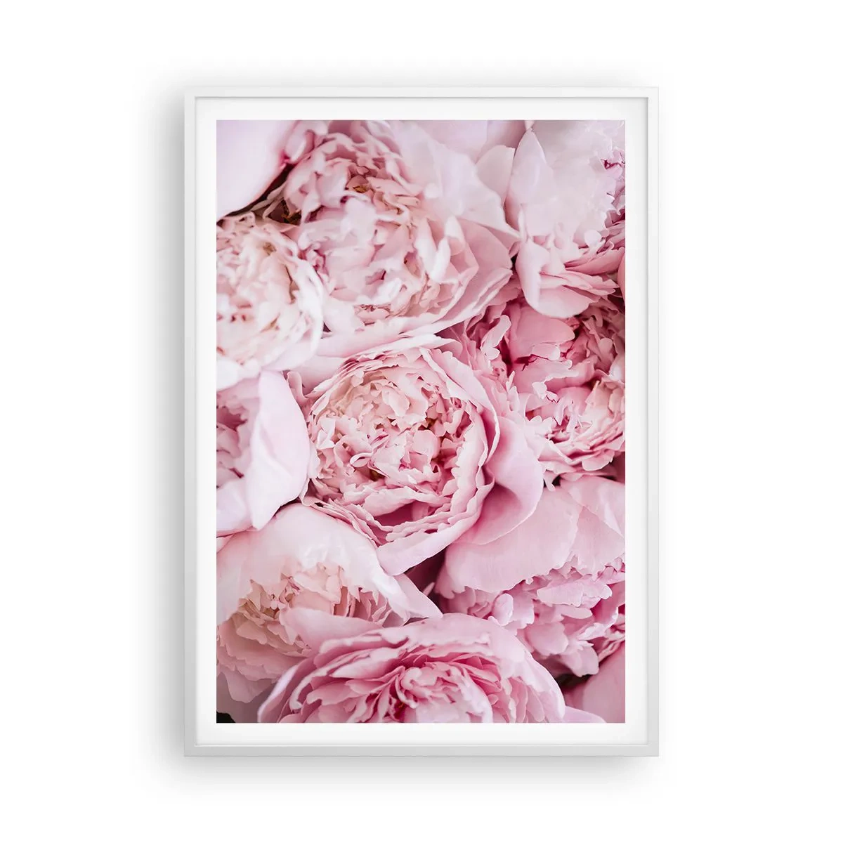 Poster in een witte lijst - Knuffelend en geurig - 70x100 cm