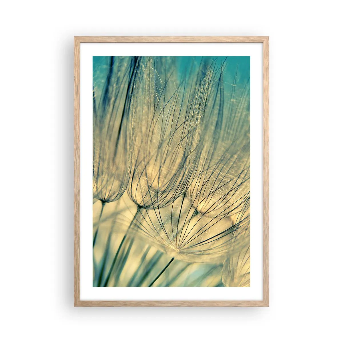 Een poster in een licht eiken lijst - In afwachting van de wind - 50x70 cm