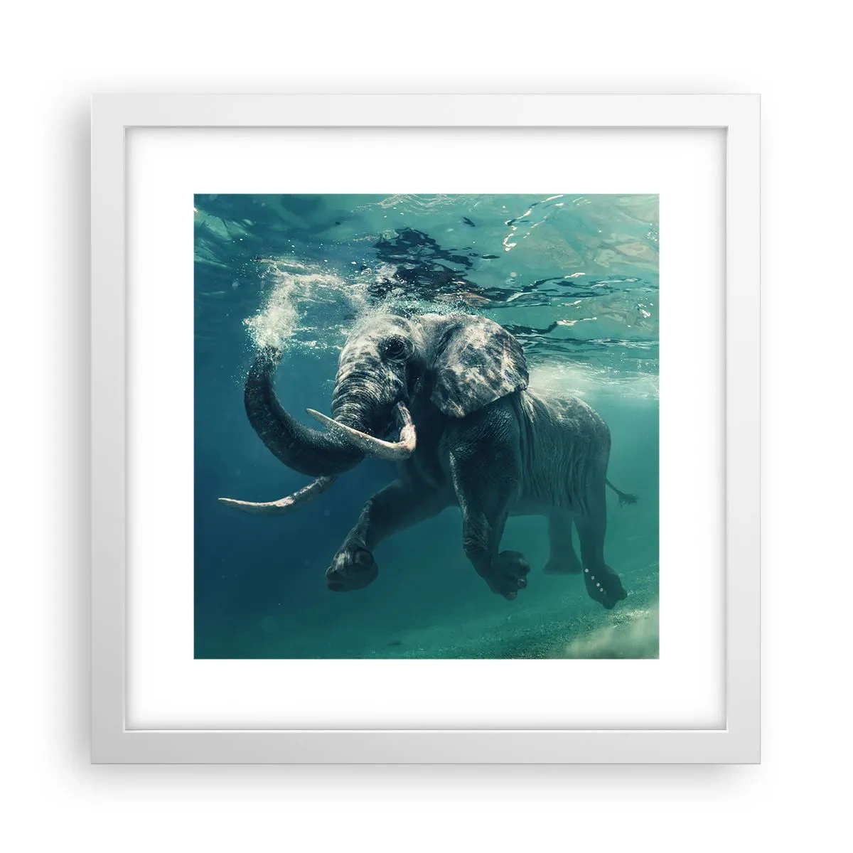 Poster in een witte lijst - Iedereen houdt van zwemmen - 30x30 cm