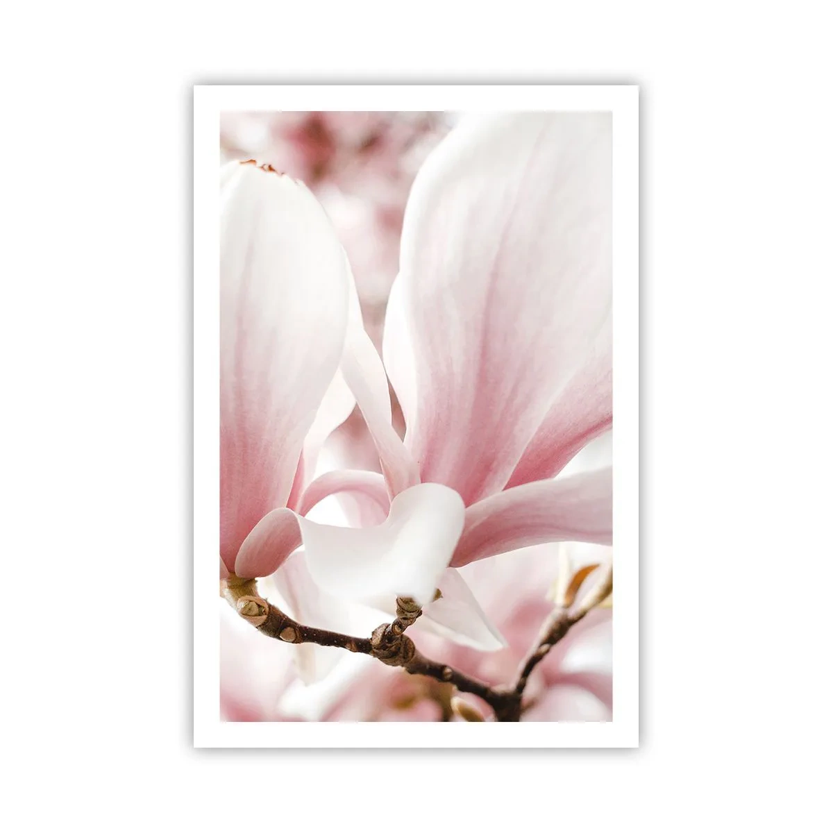 Poster - Een overvloed aan tederheid - 61x91 cm