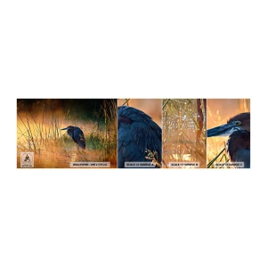 Fotobehang Staaltje Standard Eco - Kom op, geef me een pauze met deze foto's - Reiger, Vogel, Natuur - 100x30 cm