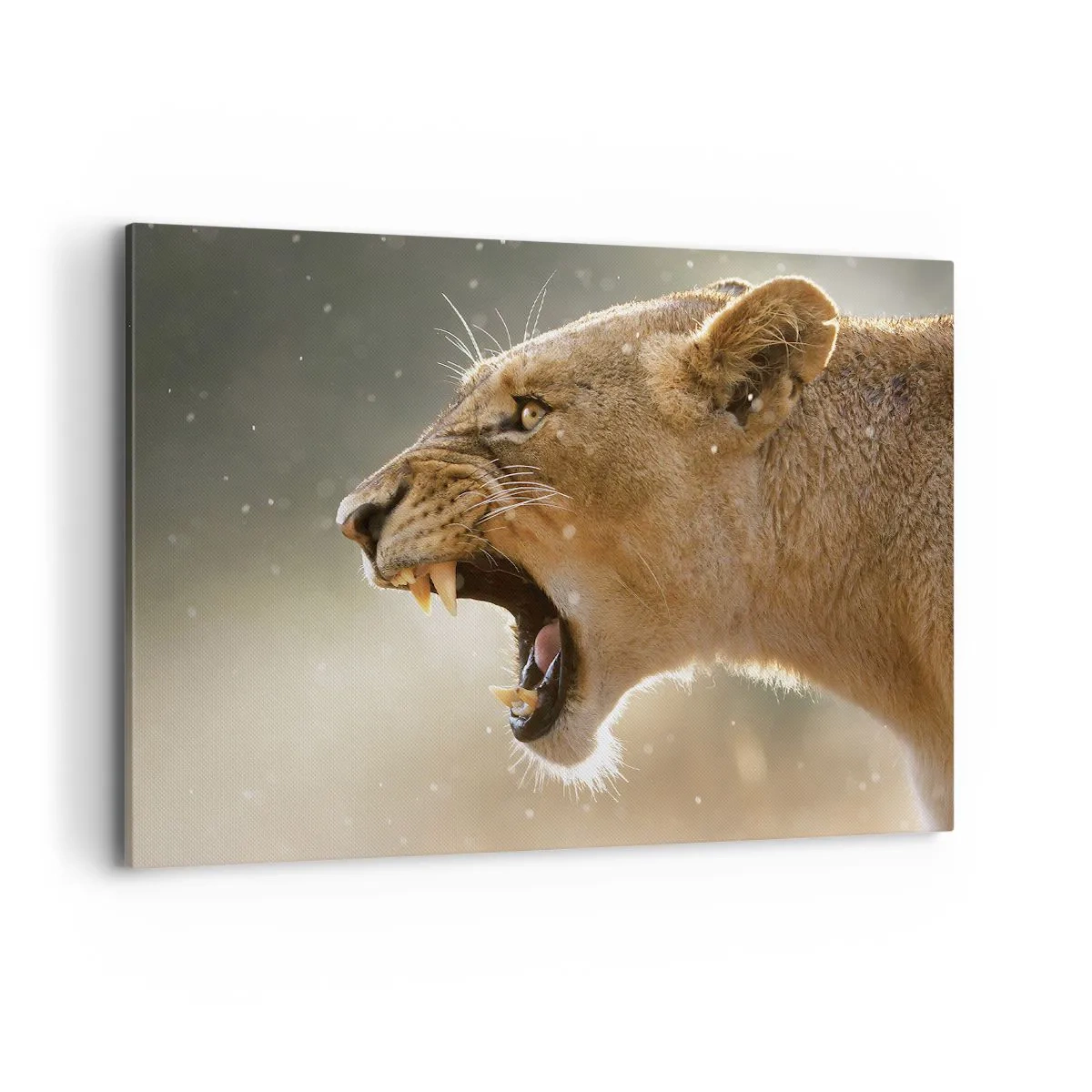 Schilderen op canvas - Probeer niet te luisteren - 100x70 cm