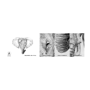 Fotobehang Monster Premium Sand - "Er was een olifant, zo groot als - een olifant" - Dieren, Olifant, Grafisch - 100x30 cm