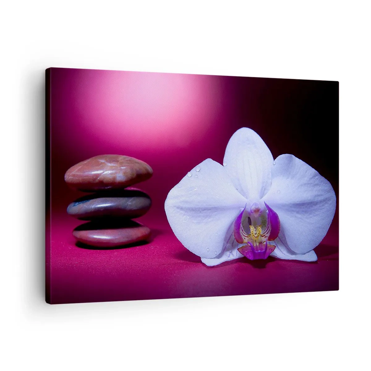 Schilderen op canvas - Witte orchidee en stenen op een roze achtergrond - 70x50cm - Een studie van versheid in paars - Moderne wanddecoratie voor woonkamer en slaapkamer ARTTOR