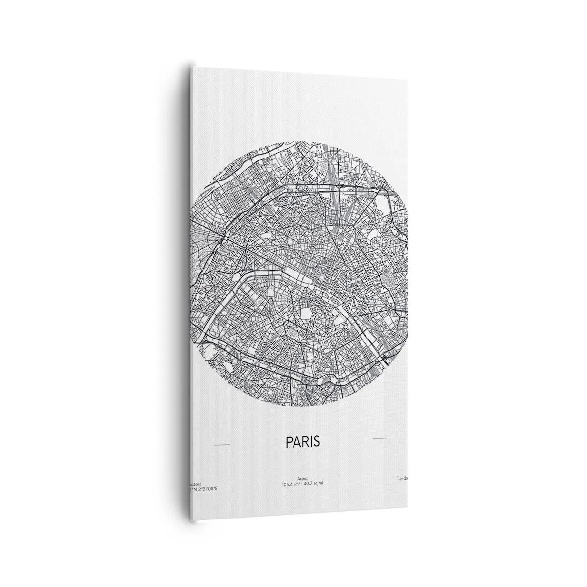 Schilderen op canvas - Anatomie van Parijs - 65x120 cm