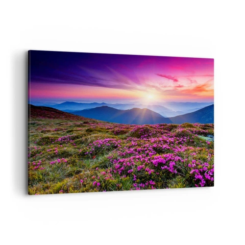 Schilderen op canvas - Kruiden roken naar verse trossen van de velden - 120x80 cm