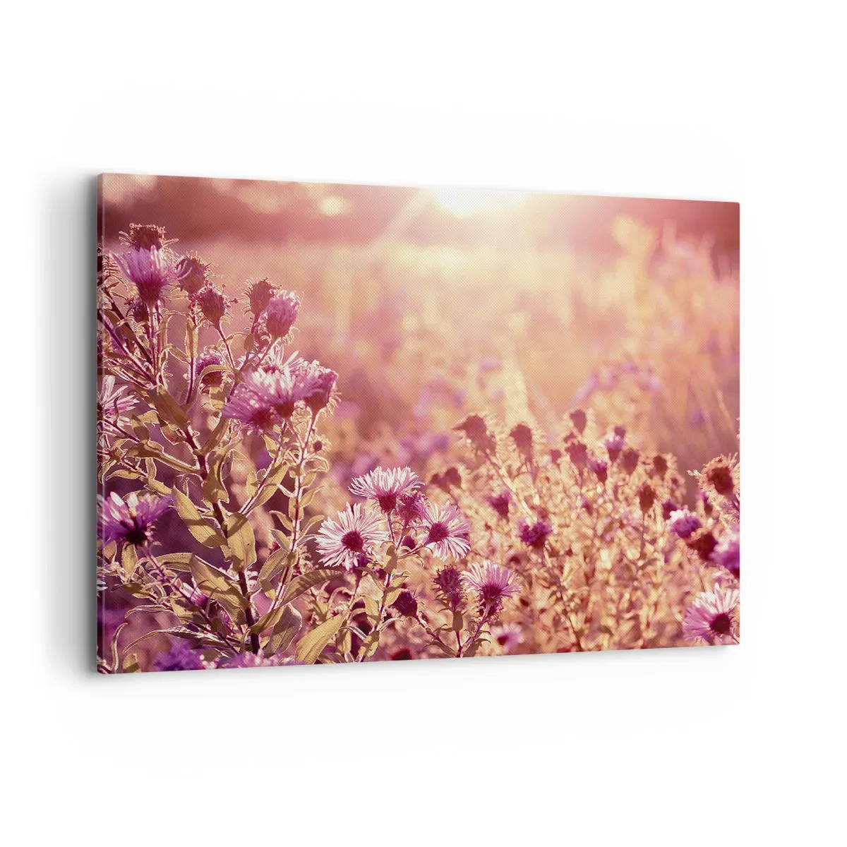 Schilderen op canvas - Voordat de zomer voorbij is - 100x70 cm