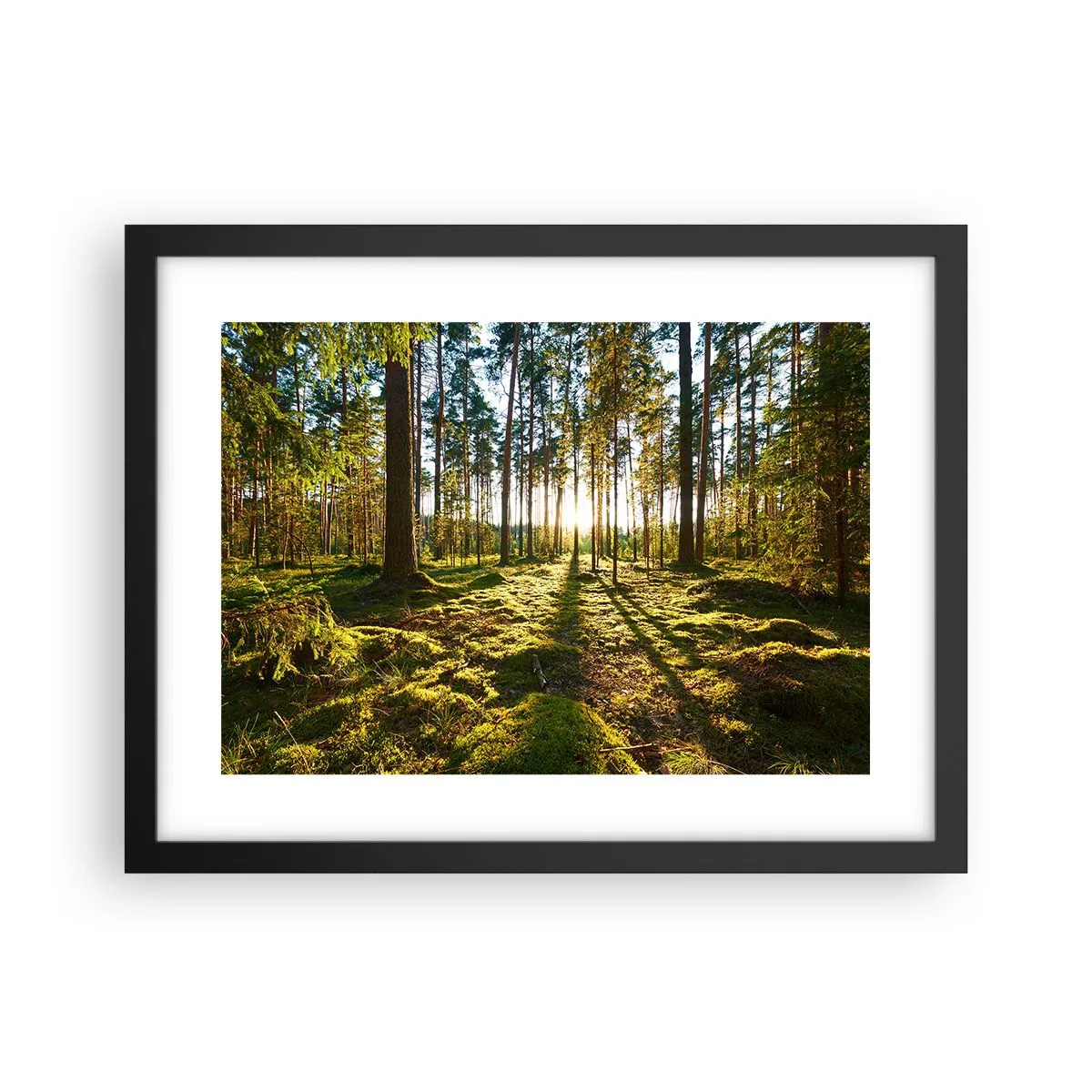 Poster in een zwarte lijst - … Achter de zeven bossen - 40x30 cm