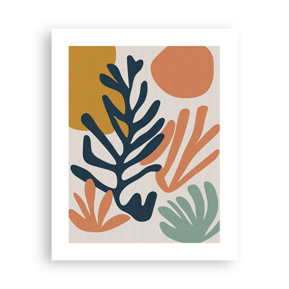 Poster - Koraalzeeën - 40x50 cm