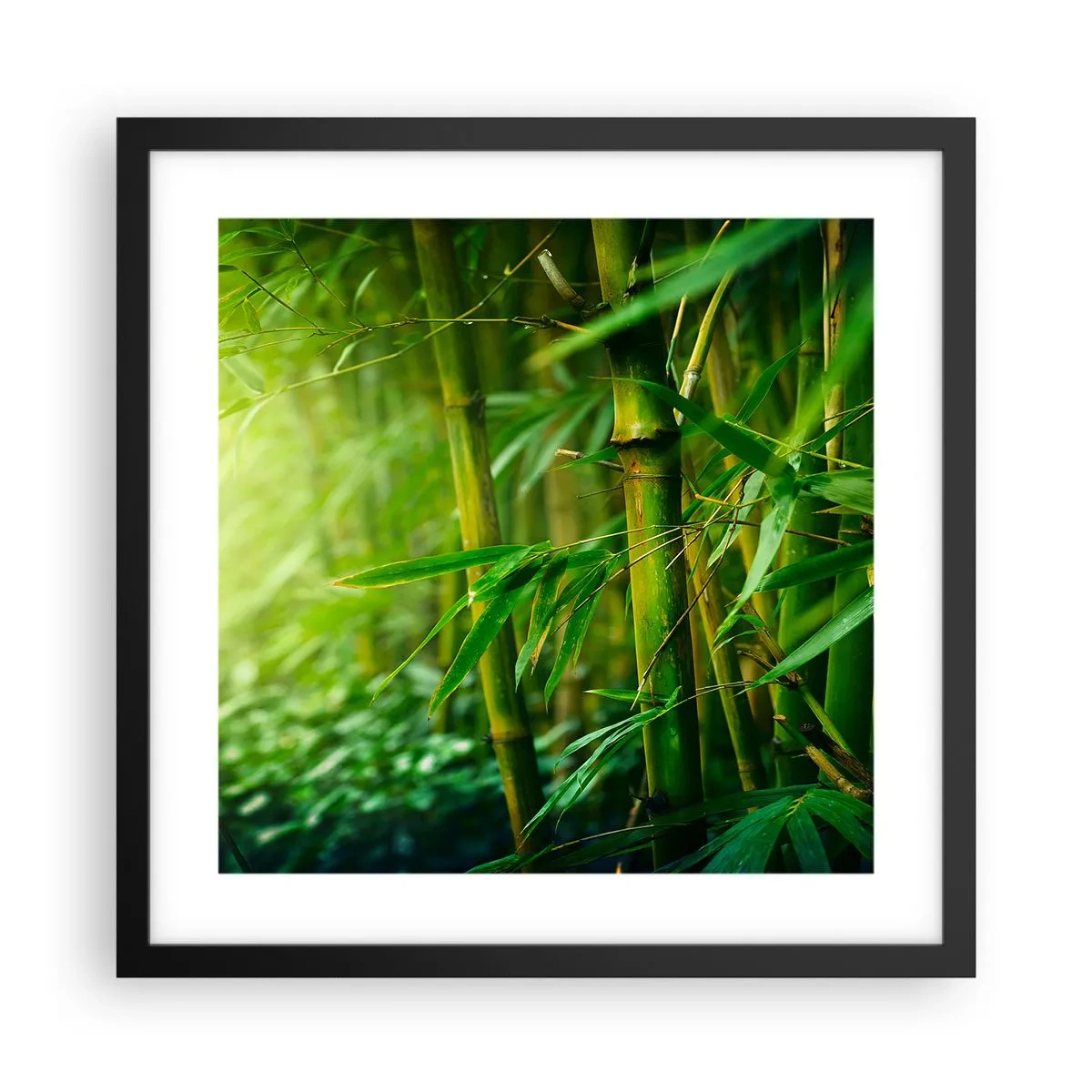 Poster in een zwarte lijst - Maak kennis met groen zelf - 40x40 cm