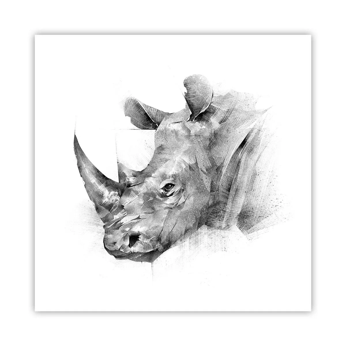 Poster - Afrikaans portret - 60x60 cm