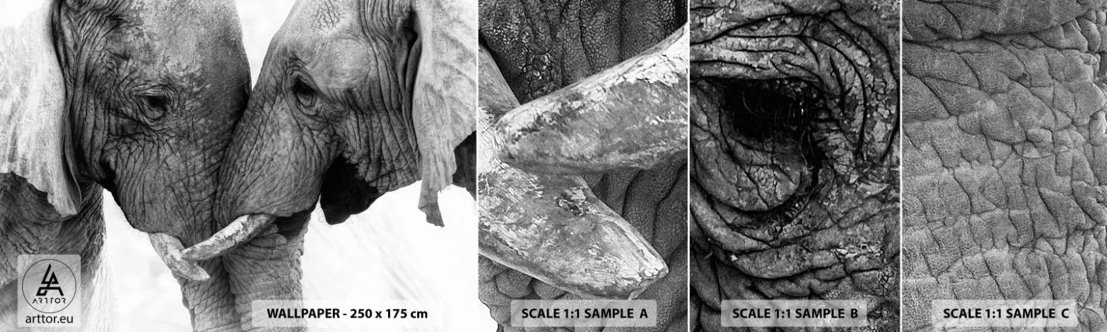 Fotobehang Monster Zelfklevend Deluxe Sticker - Oprechte bekentenis - Olifant, Dieren, Afrika - 100x30 cm