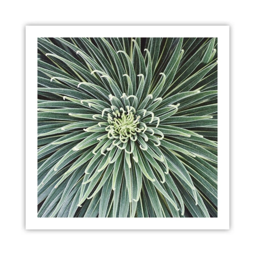 Poster - Een ster is geboren - 60x60 cm