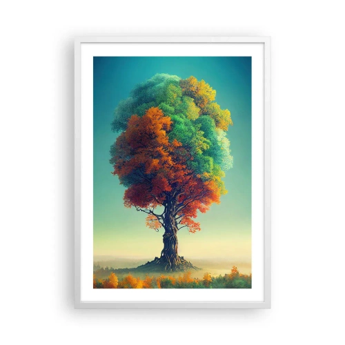 Poster in een witte lijst - Eik – de vader van de natuur - 50x70 cm