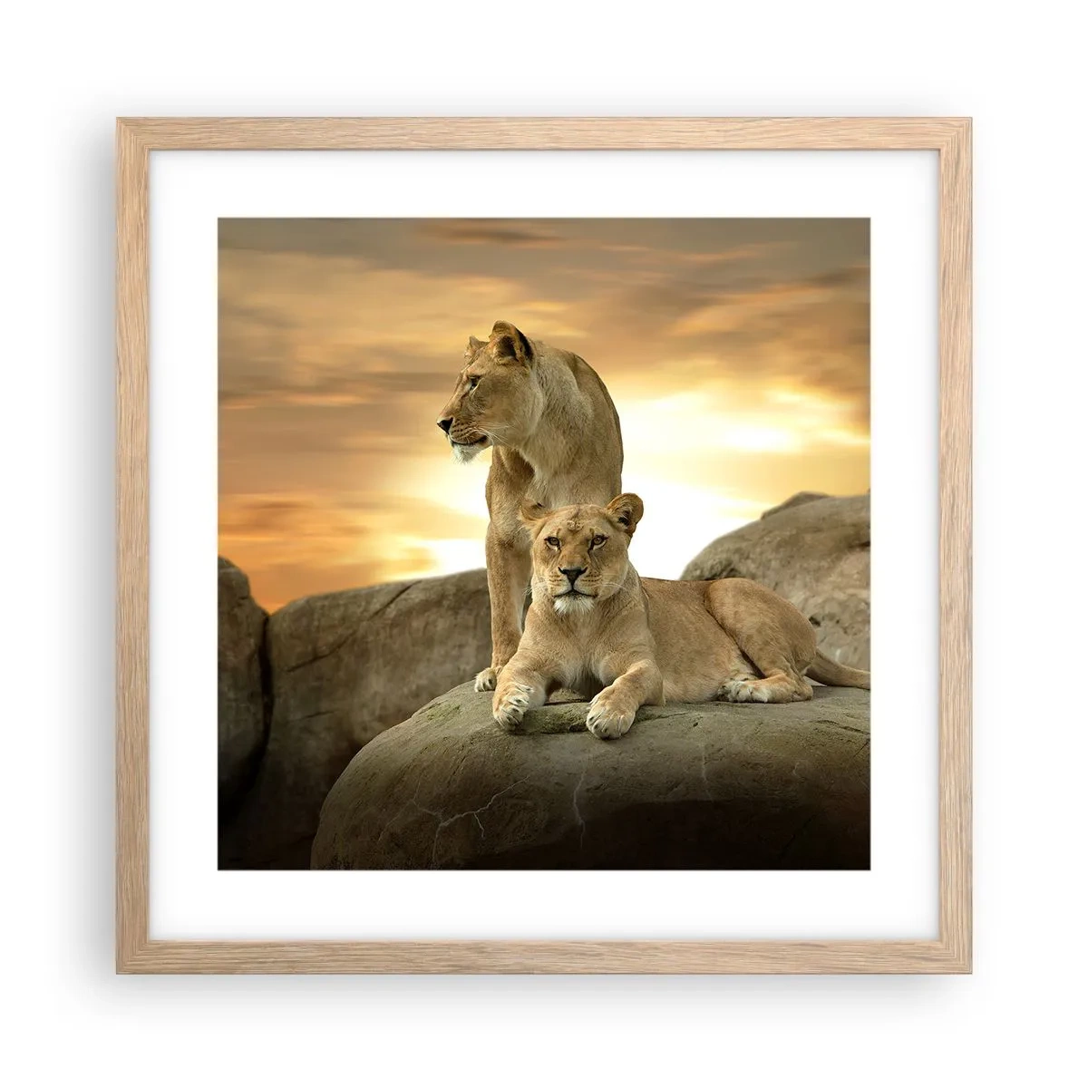 Een poster in een licht eiken lijst - Koninklijke majesteit - 40x40 cm