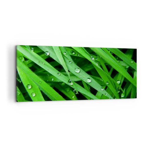 Schilderen op canvas - Speel groen - 100x40 cm
