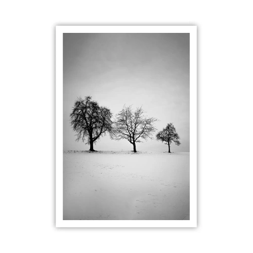 Poster - Waar dromen ze over? - 70x100 cm