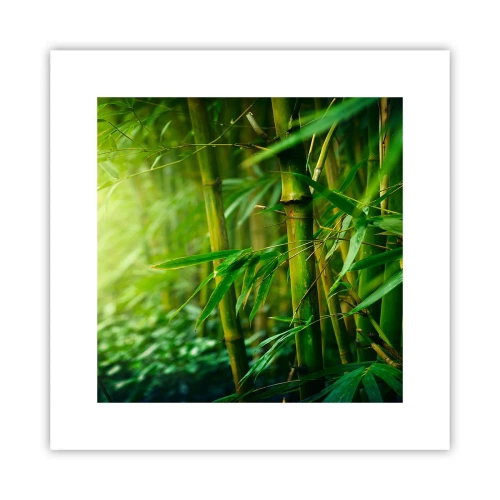 Poster - Maak kennis met groen zelf - 30x30 cm