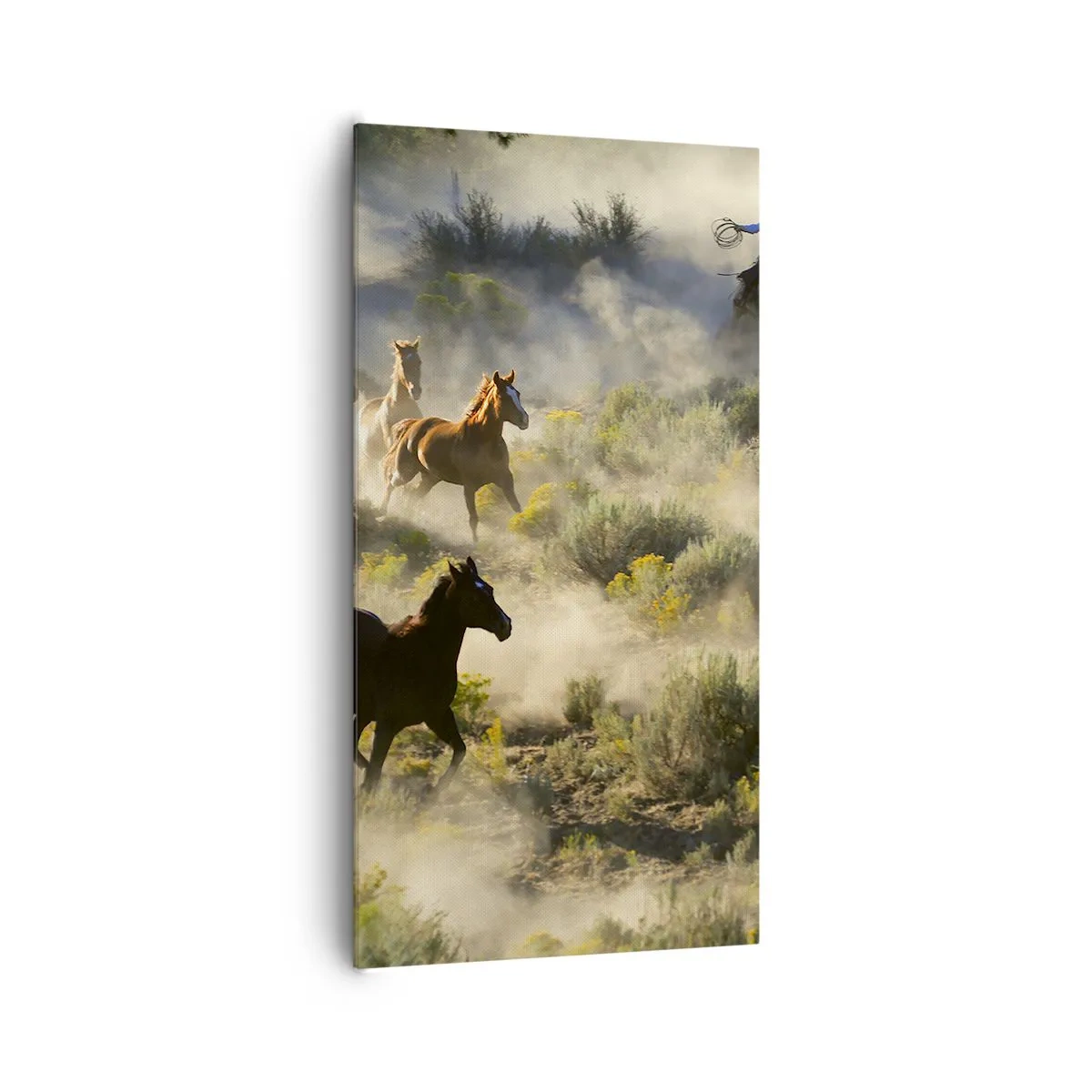 Schilderen op canvas - Rivaliteit - vrijheid of mannelijke kracht? - 65x120 cm