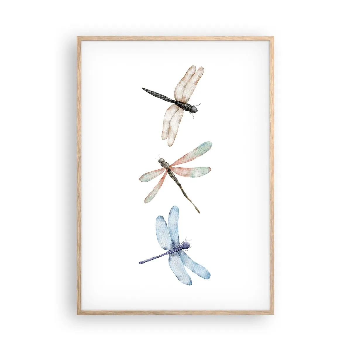 Een poster in een licht eiken lijst - Gewichtloze libellen - 70x100 cm