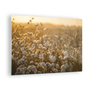 Schilderen op glas - Katoenveld bij zonsondergang - 70x50cm - Pluizig veld - Moderne wanddecoratie voor woonkamer en slaapkamer ARTTOR