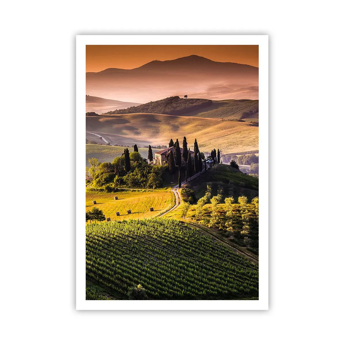 Poster - Arcadia - het Toscaanse landschap - 70x100 cm