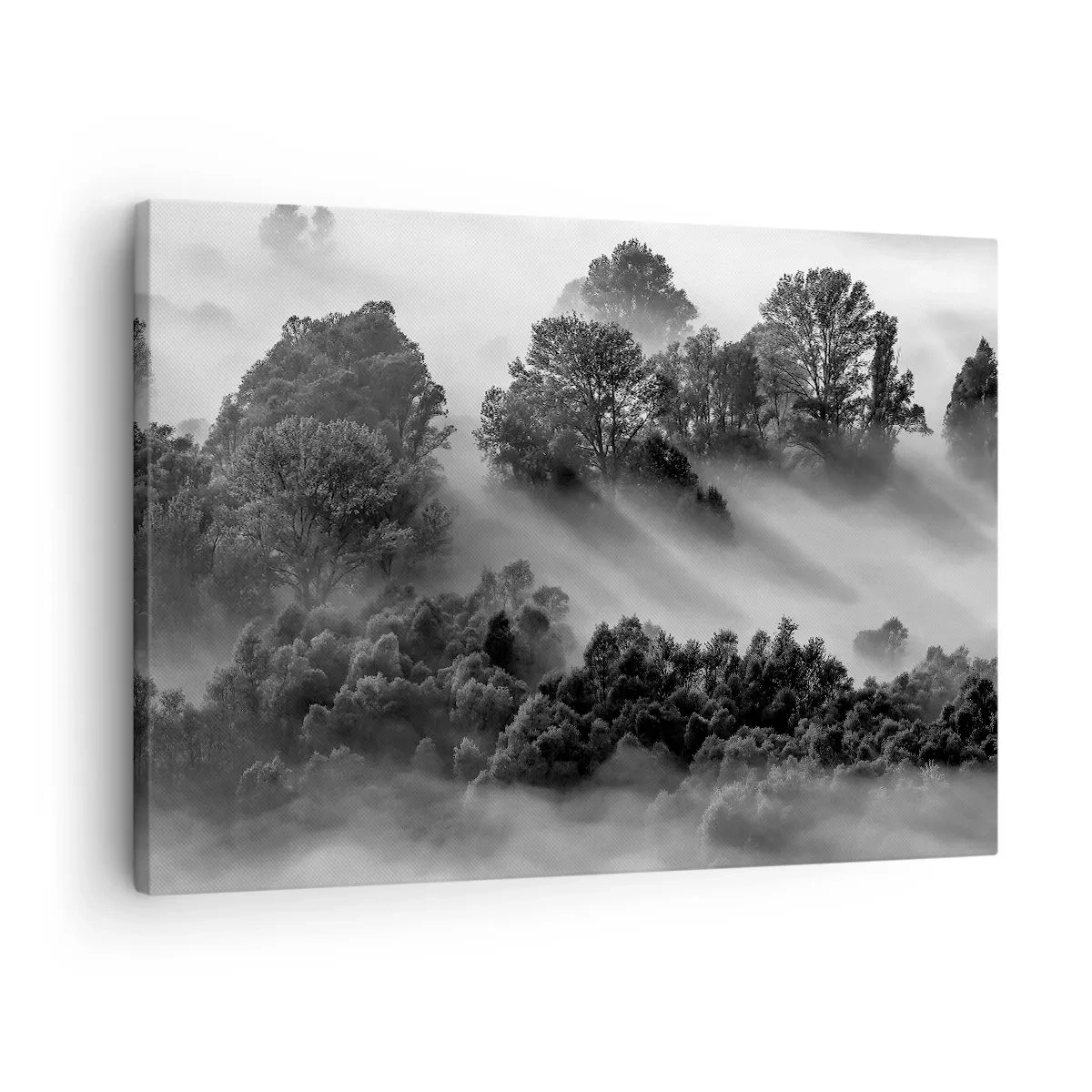 Schilderen op canvas - Zwart-wit boslandschap in de ochtendmist - 70x50cm - Opstaand
