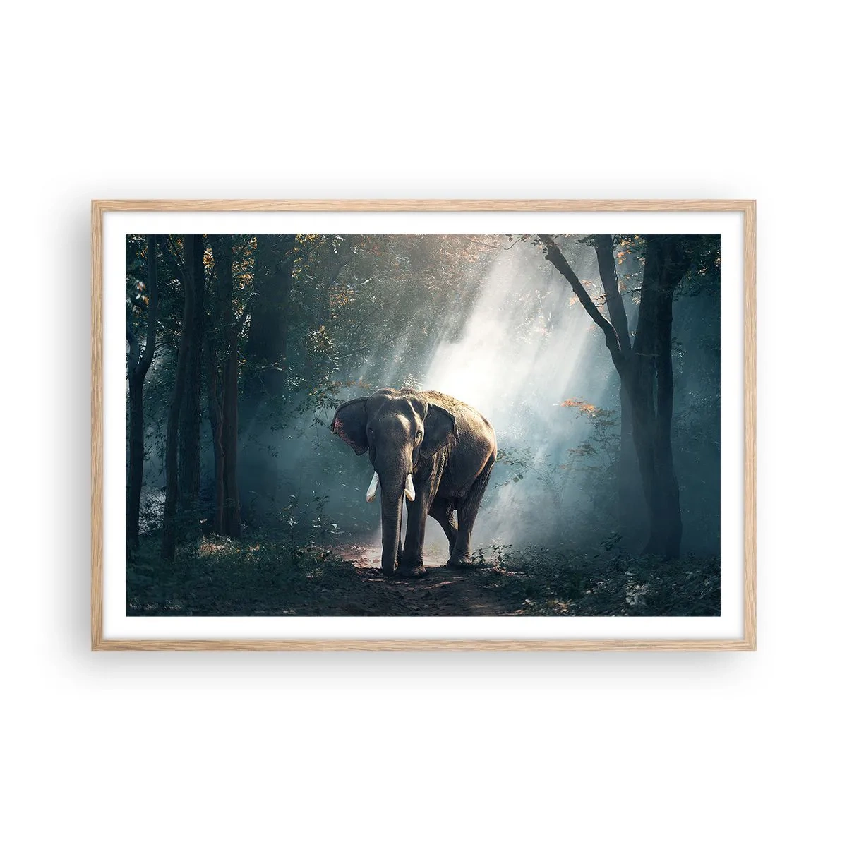 Een poster in een licht eiken lijst - Een ontspannen wandeling - 91x61 cm