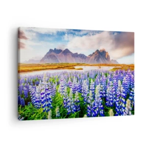 Schilderen op canvas - Bloemen in een berglandschap met een schilderachtige lucht - 70x50cm - Kracht en soberheid naast zachtheid - Moderne wanddecoratie voor woonkamer en slaapkamer ARTTOR
