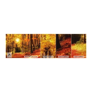 Fotobehang Monster Zelfklevend Deluxe Sticker - Gouden herfst op een bosweg - Herfst, Woud, Landschap - 100x30 cm