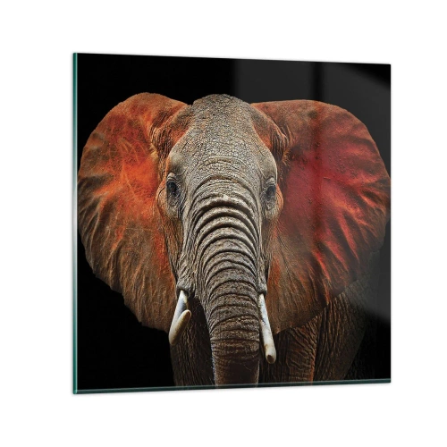 Schilderen op glas - Ik ben wild, en jij? - 30x30 cm