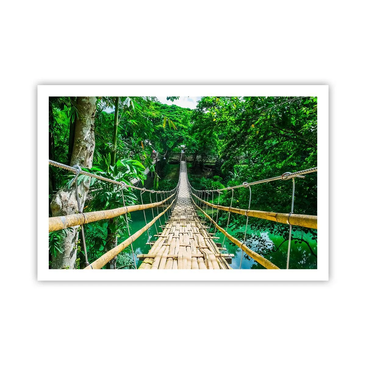 Poster - Apenbrug over de green - 91x61 cm