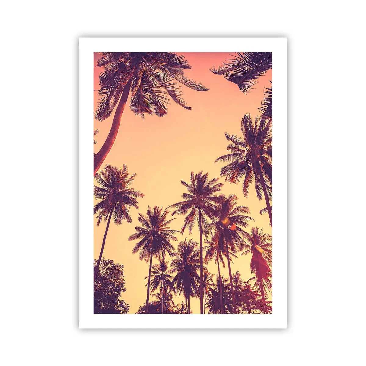 Poster - Een tropische variant - 50x70 cm