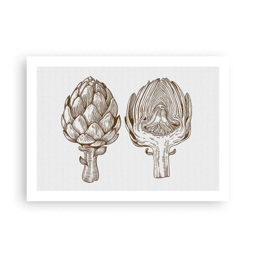Poster - Anatomieles - 70x50 cm