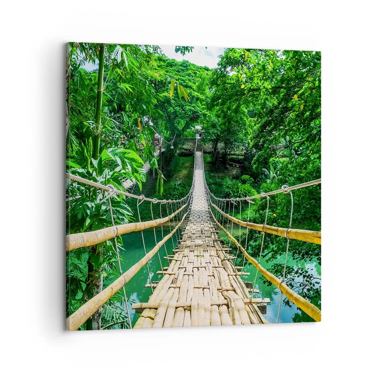 Schilderen op canvas - Apenbrug over de green - 50x50 cm