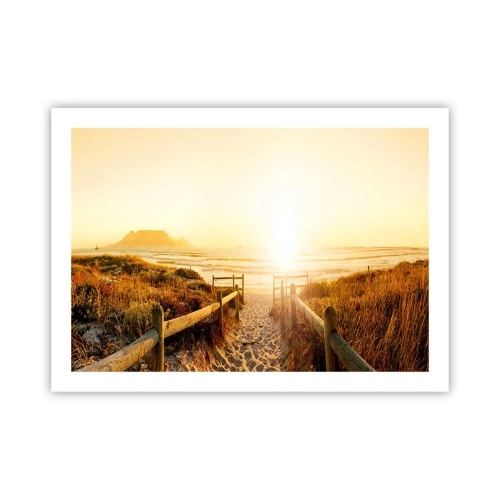 Poster - Over het duin, richting de zon - 70x50 cm