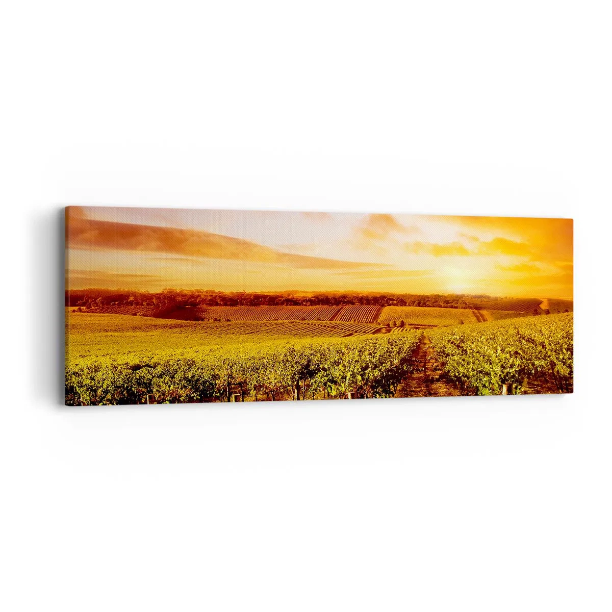Schilderen op canvas - Licht fruitig met een vleugje zonneschijn - 90x30 cm