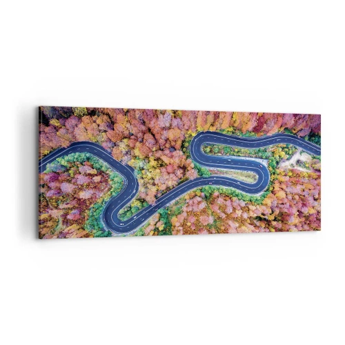 Schilderen op canvas - Een kronkelende weg door het bos - 100x40 cm