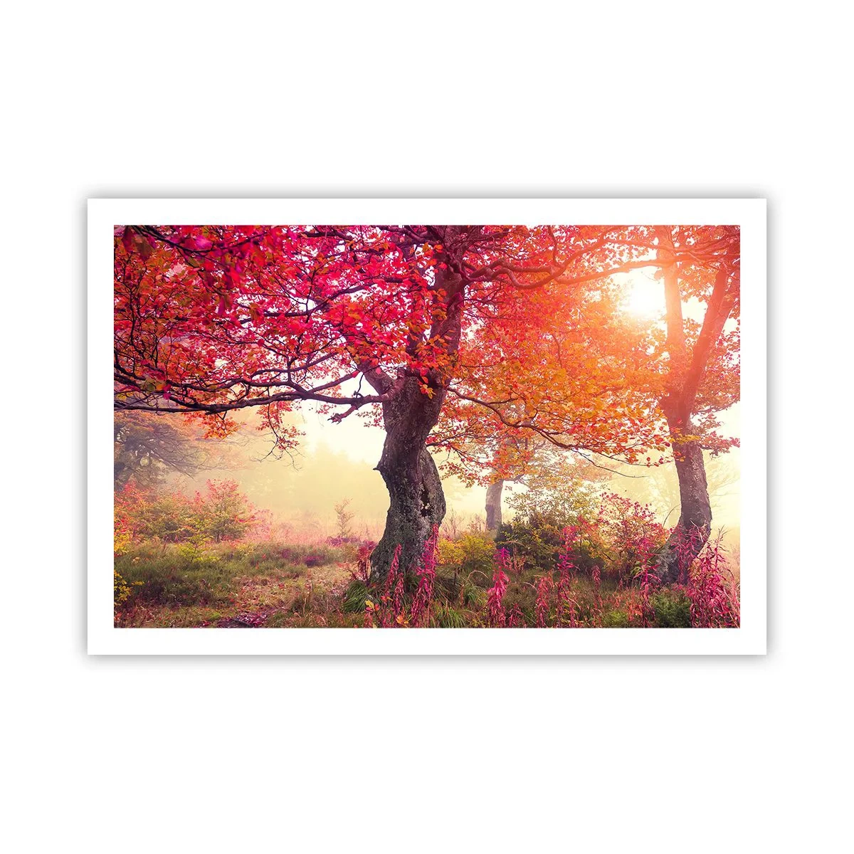 Poster - Bloeiende razernij - 91x61 cm