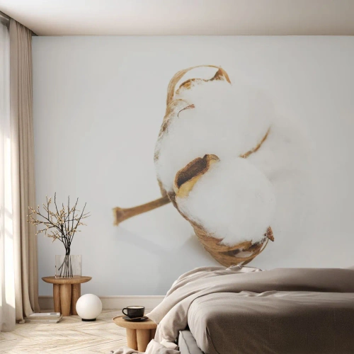 Fotobehang Premium Sand - Zacht van aard - Katoen, Minimalistisch, Bloem - 350x256 cm