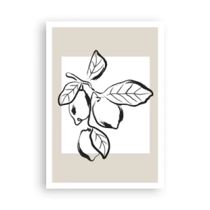 Poster - Waar de citroen rijpt... - 70x100 cm