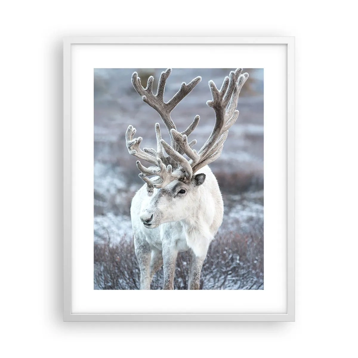 Poster in een witte lijst - Portret in de zon - 40x50 cm