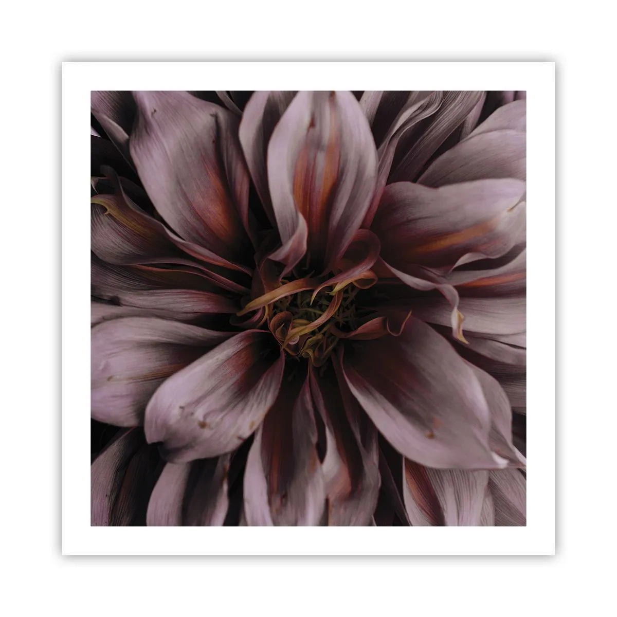 Poster - Een bloemenhart - 60x60 cm