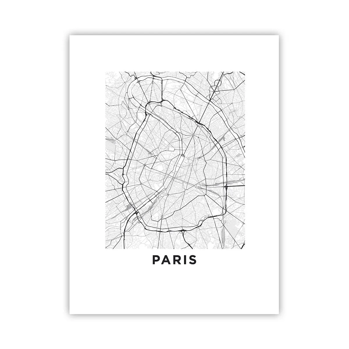 Poster - Parijs bloem - 30x40 cm