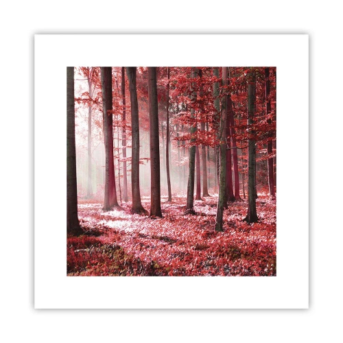 Poster - Rood is net zo mooi - 30x30 cm